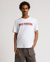 BIG T FASHION CARGO PANT - BROWN ACID WASH